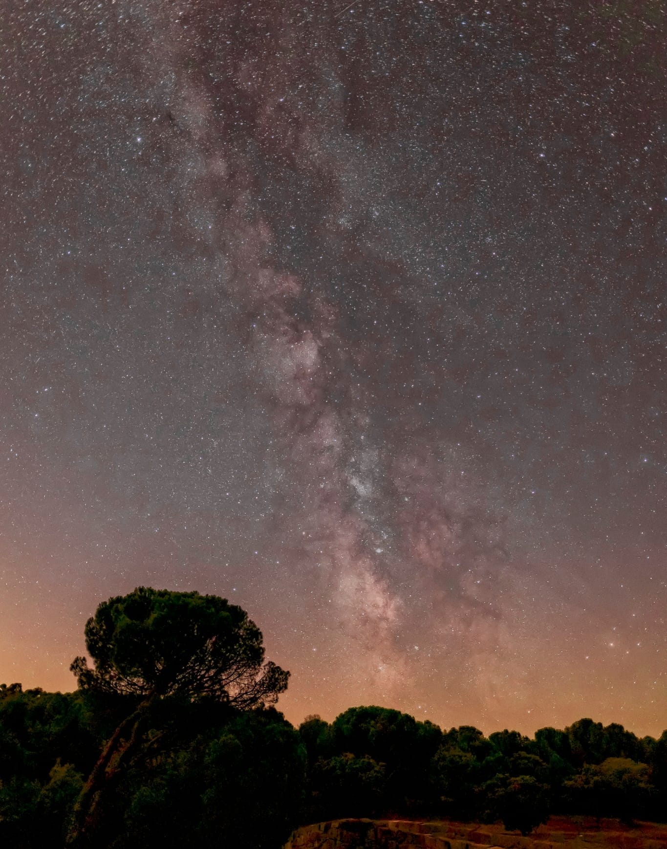 Observando las Perseidas