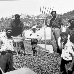 Fotos Antiguas Valdemaqueda 07